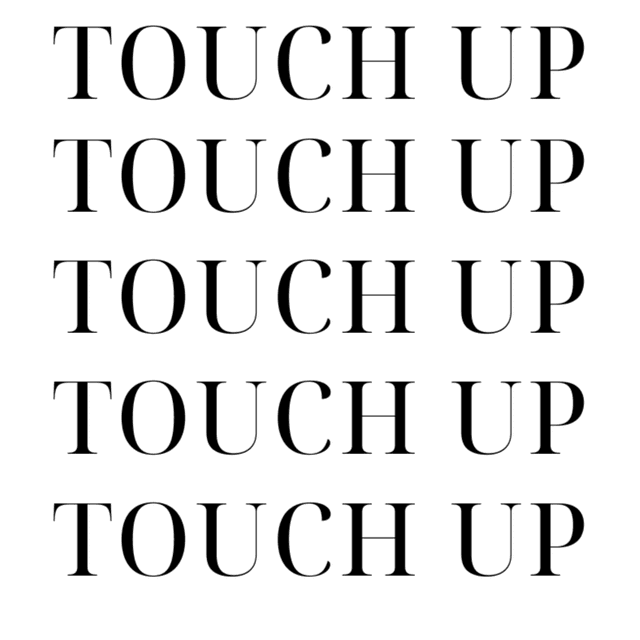 TOUCH UP MEMBERSHIP- BIG FIX